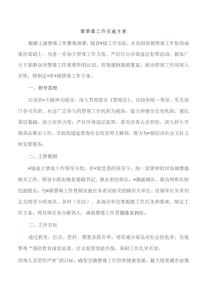 镇禁毒工作实施方案.docx