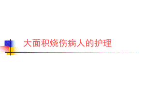 大面积烧伤病人的护理幻灯片.ppt