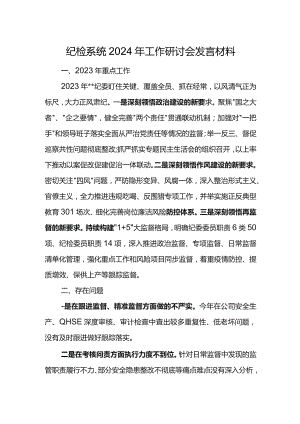 纪检系统2024年工作研讨会发言材料5.docx