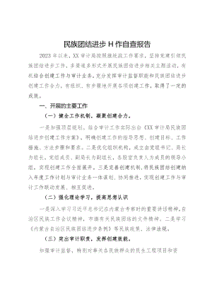 审计局2023年民族团结进步工作自查报告.docx