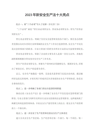 2023年新安全生产法十大亮点.docx