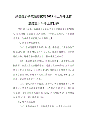 某县经济科技信息化局2023年上半年工作总结暨下半年工作打算.docx
