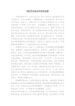 组织生活会点评发言五篇.docx