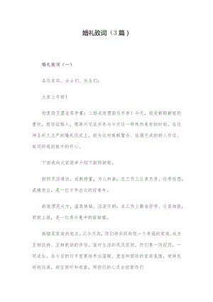 婚礼致词（3篇）.docx