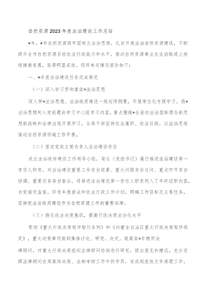 自然资源2023年度法治建设工作总结.docx