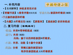 (解剖神经系统).ppt