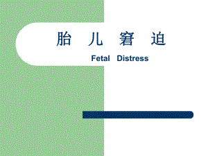 胎心监测.ppt