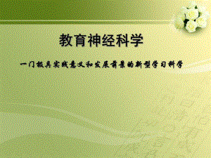教育神经科学.ppt