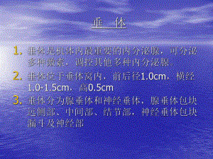 垂体.ppt.ppt