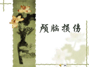 神经外科相关颅脑损伤疾病PPT.ppt