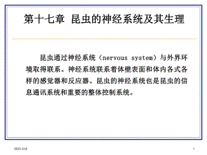 第十七章 昆虫的神经系统.ppt