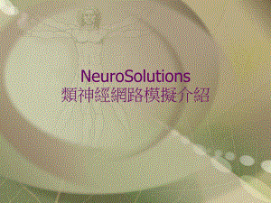 NeuroSolutions类神经网路模拟介绍.ppt