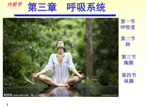 系统解剖学呼吸系统PPT.ppt.ppt