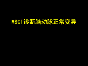 脑血管变异.ppt