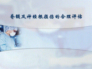 脊髓及神经根损伤的合理评估.ppt