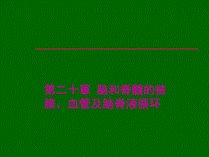 脑膜血管.ppt