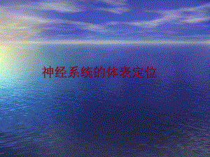 神经系统的体表定位.ppt.ppt