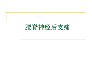 腰脊神经后支痛.ppt