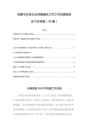 党建与主责主业深度融合工作工作自查报告含下步举措（10篇）.docx