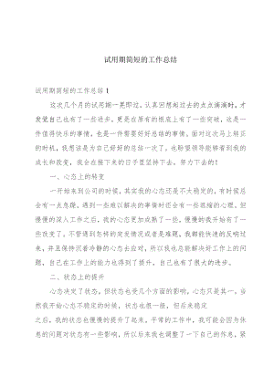 试用期简短的工作总结.docx