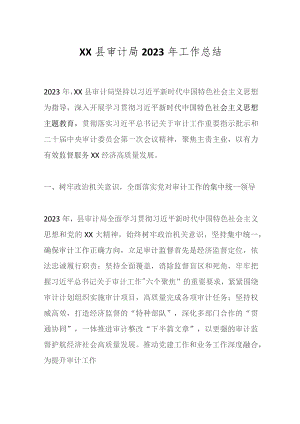 XX县审计局2023年工作总结.docx