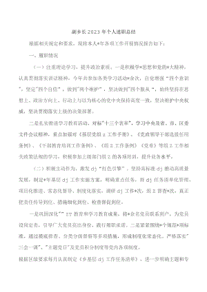 副乡长2023年个人述职总结.docx