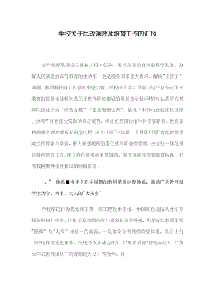 学校关于思政课教师培育工作的汇报.docx
