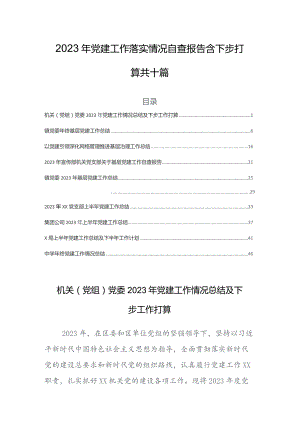 2023年党建工作落实情况自查报告含下步打算共十篇.docx