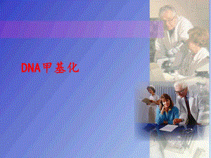 dna甲基化.ppt