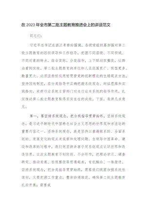 在2023年全市第二批主题教育推进会上的讲话范文.docx