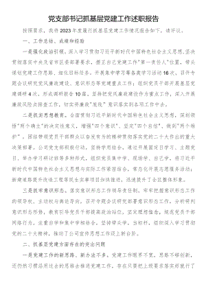 党支部书记抓基层党建工作述职报告.docx