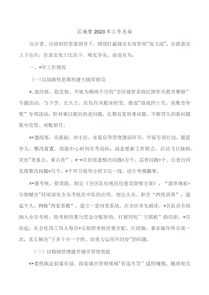 区城管2023年工作总结.docx