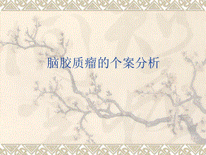 颅脑损伤的个案分析.ppt