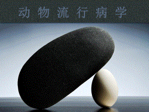 兽医流行病学.ppt
