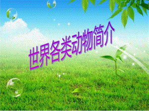 动物简介.ppt.ppt