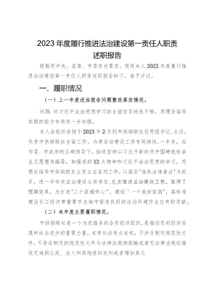 2023年度履行推进法治建设第一责任人职责述职报告.docx