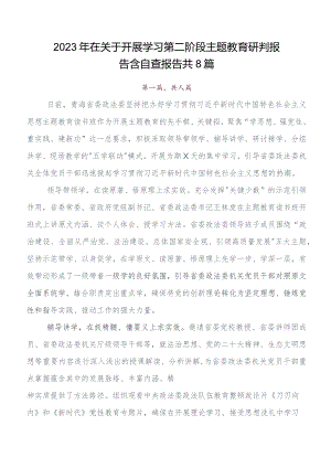 在集体学习党内集中教育开展情况总结内含自查报告8篇汇编.docx