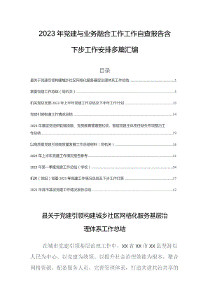 2023年党建与业务融合工作工作自查报告含下步工作安排多篇汇编.docx