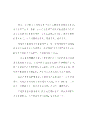 纪检干部教育整顿心得体会2篇.docx