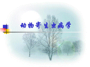 动物寄生虫病学.ppt.ppt