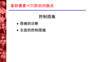 回肠炎的控制.ppt
