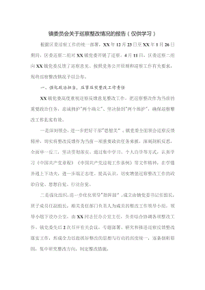 镇委员会关于巡察整改情况的报告.docx
