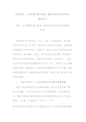 2篇党课：以主题教育凝心铸魂、锤炼党性 更好发挥先锋模范作用.docx