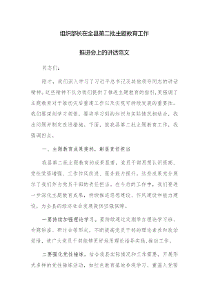 组织部长在全县第二批主题教育工作推进会上的讲话范文.docx