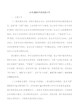 公司2023年度党建工作.docx