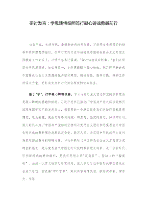 研讨发言：学思践悟细照笃行凝心铸魂勇毅前行.docx