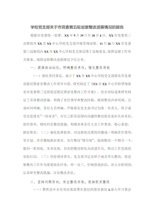 学校党支部关于市党委第五轮巡察整改进展情况的报告.docx