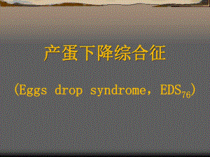 鸡马立克氏病.ppt