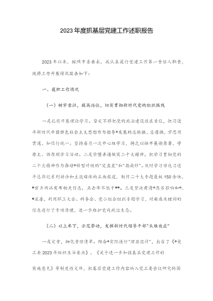 2023年度抓基层党建工作述职报告.docx