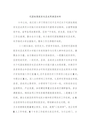 巩固拓展脱贫攻坚成果典型材料.docx